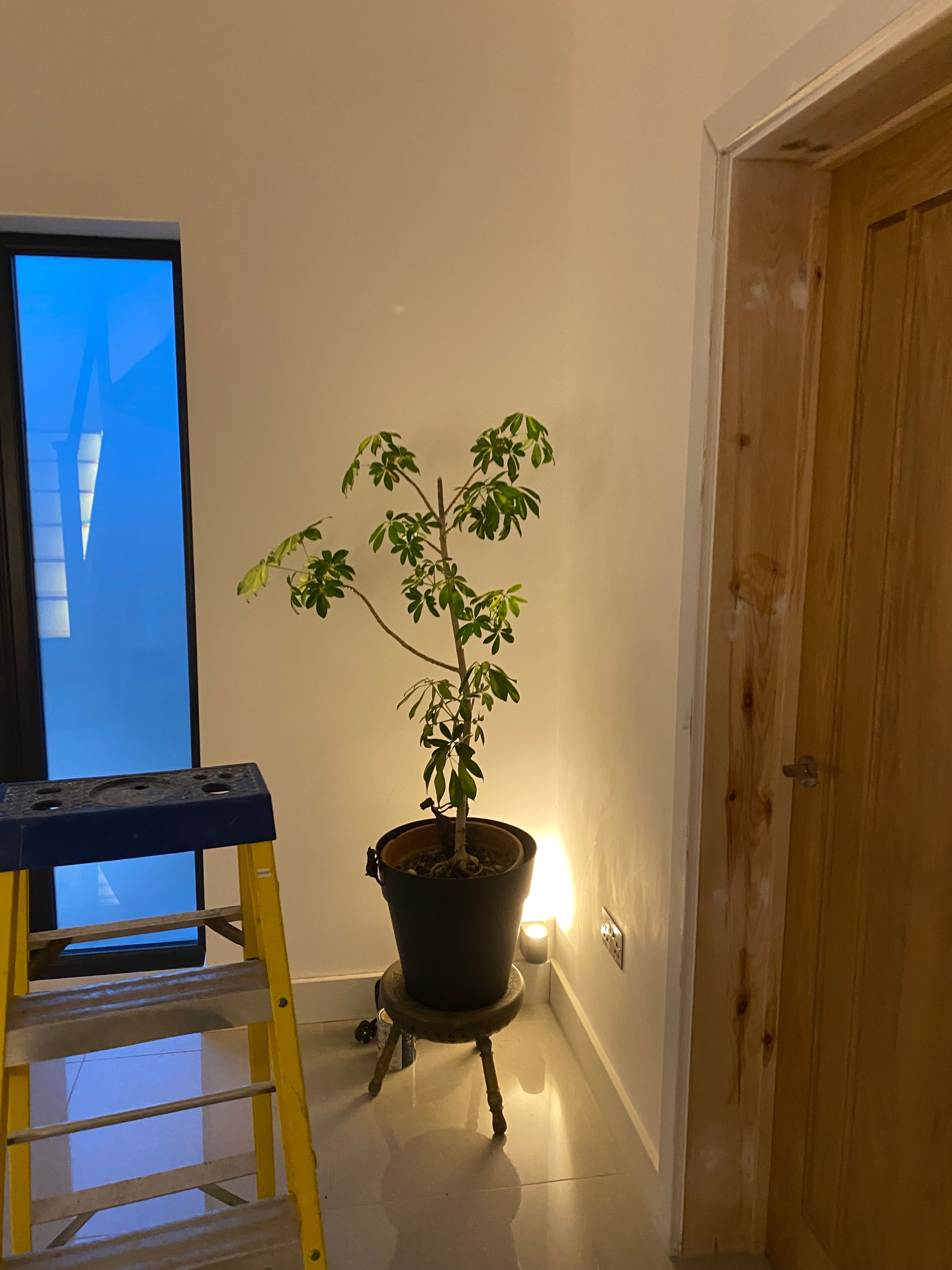 Close-up of pendant light fitting with wooden ceiling